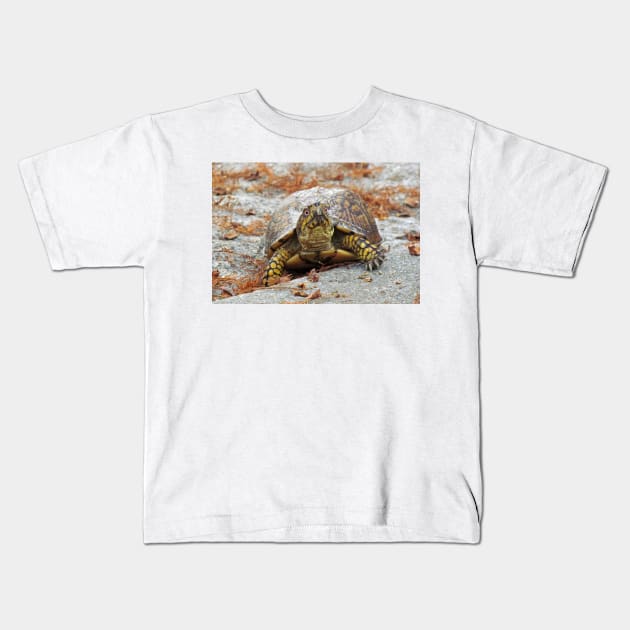 Eastern Box Turtle Kids T-Shirt by Cynthia48